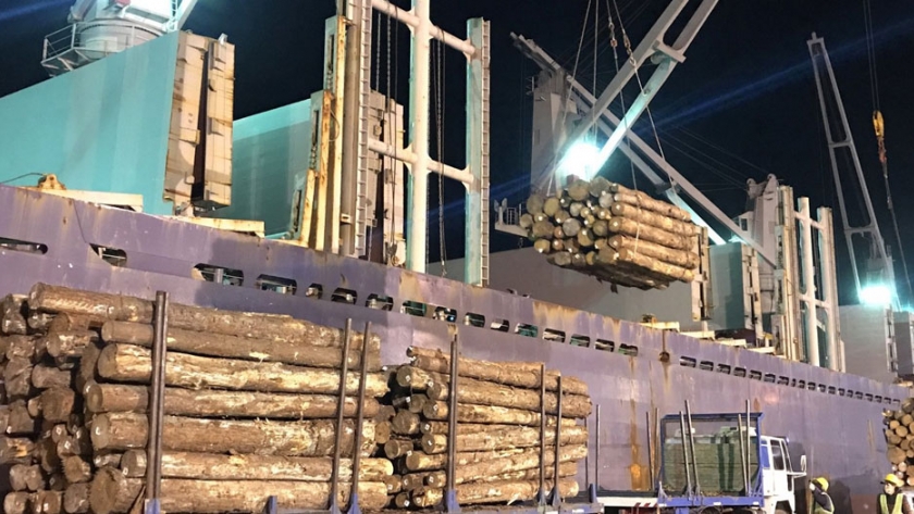 Los puertos entrerrianos completan una nueva exportación de madera