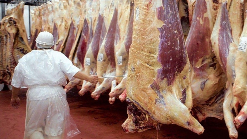 Las exportaciones de carne siguen en picada a causa del cepo