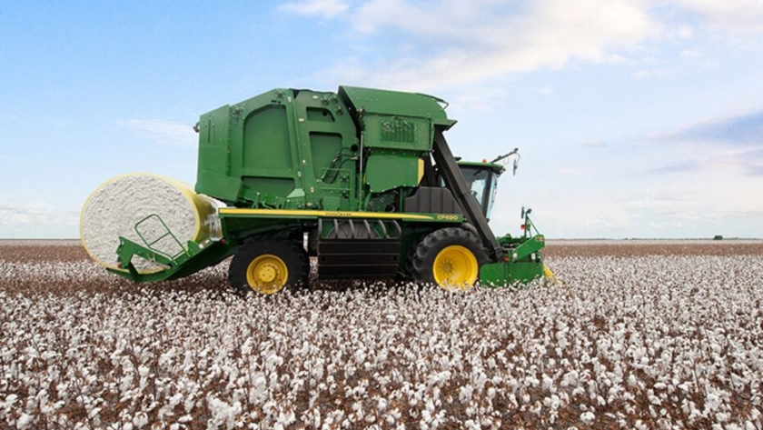 Capacitación en producción y mantenimiento de algodón en sistema agroecológico