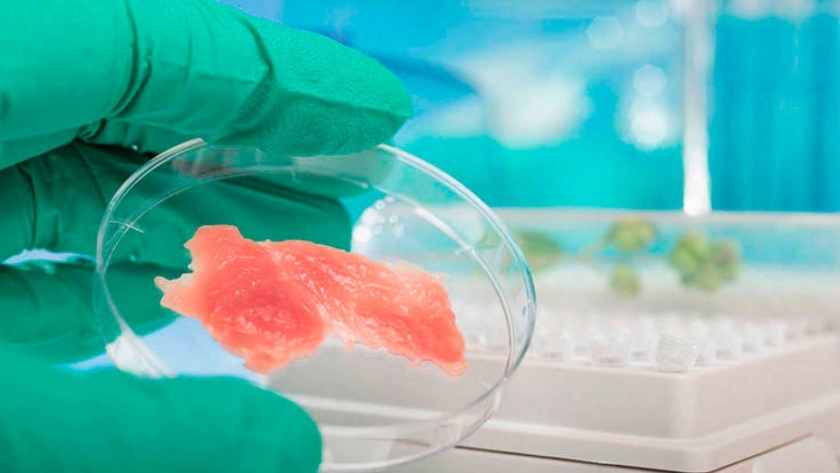Carne artificial: el nuevo producto que llenará las góndolas norteamericanas