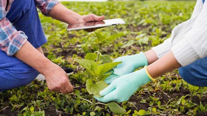 Agrobioturismo: el  IICA lanzo un Concurso a Proyectos que vinculen el Turismo con la Bioeconomia.