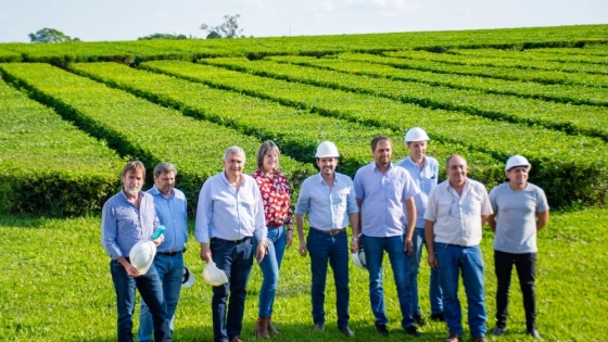 El gobernador de Jujuy reivindicó la cultura del trabajo y el esfuerzo junto a productores de té