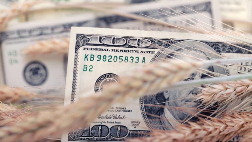 Alivio para el Gobierno: en 2022 el aporte de dólares del agro seguirá en niveles históricos