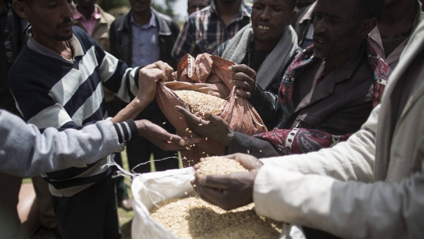 Cómo la revolución verde está perjudicando a África