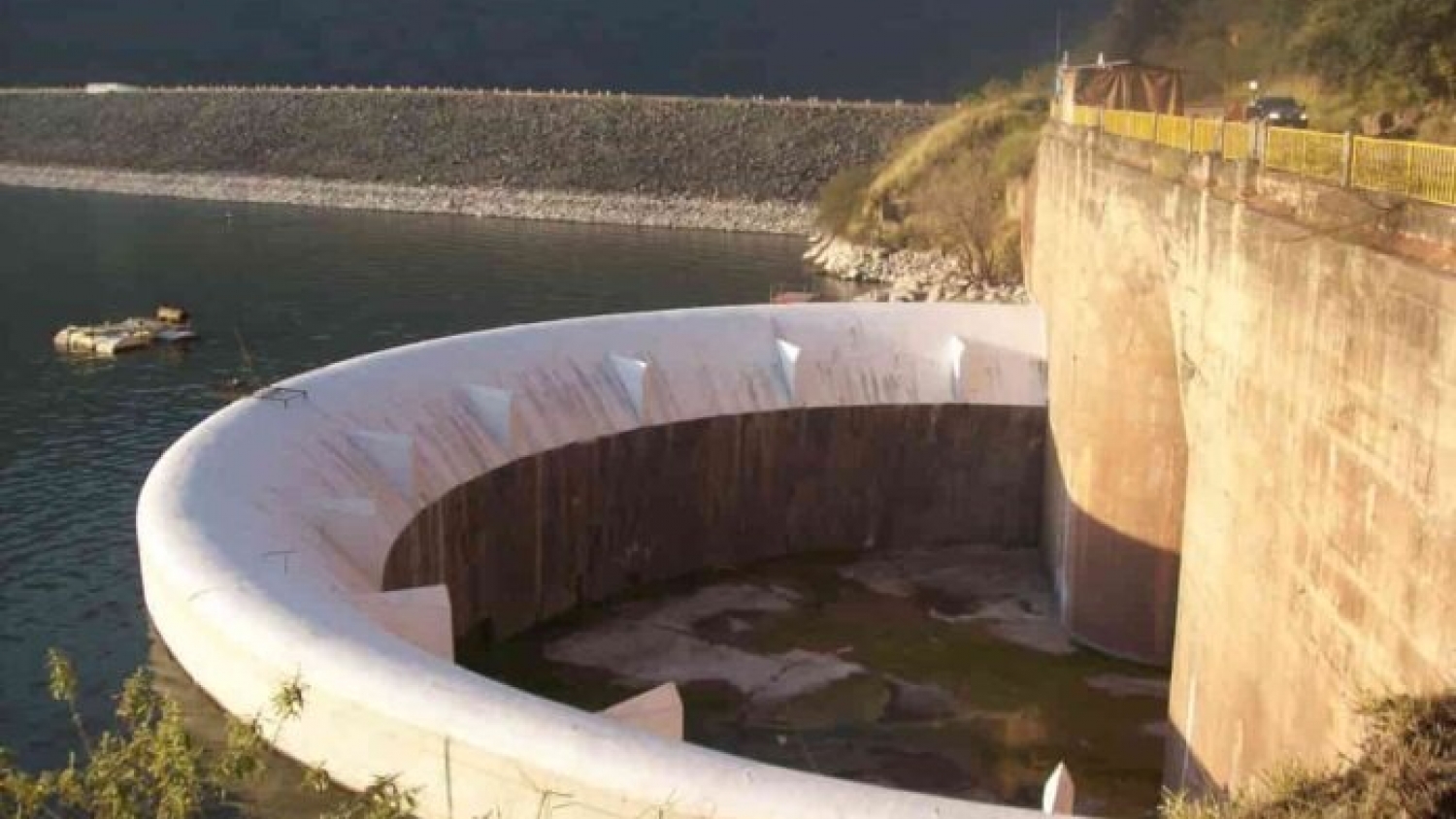 Microalgas tucumanas: la UNT publica en Algal Research el primer estudio internacional sobre cepas nativas con potencial alimentario y agrícola