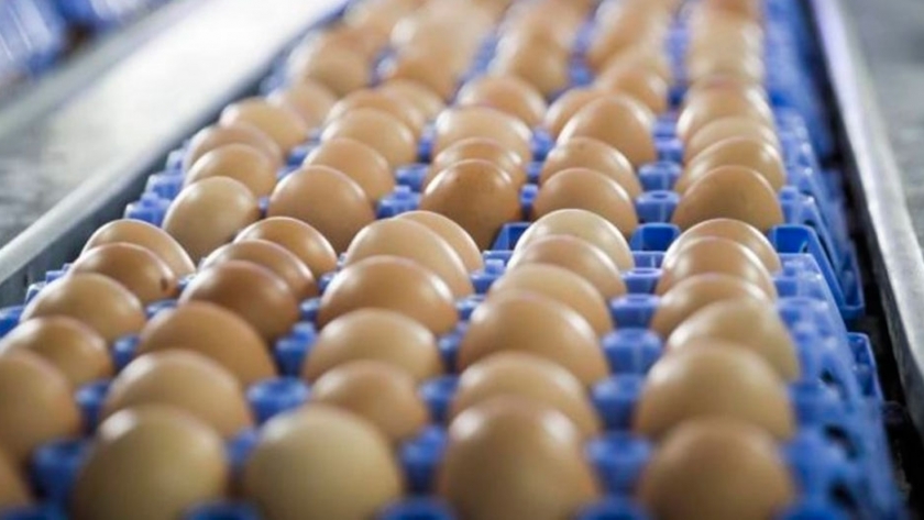 Aumentó un 5% el consumo de huevos en Argentina