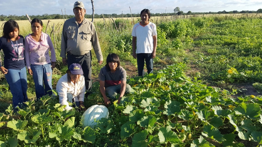 Huerta comunitaria de Yema asiste a comedores escolares