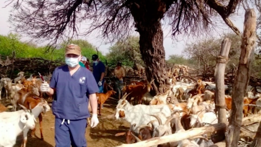 Buscan mejorar la producción caprina en Rivadavia Banda Sur