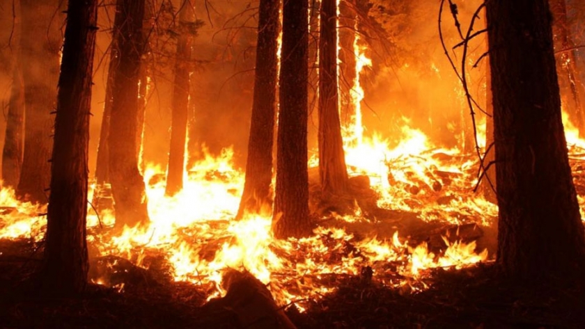 Dos incendios forestales fueron contenidos, mientras que en 