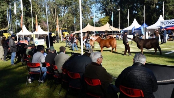 Santiago del Estero se convierte en el epicentro ganadero con la apertura de ExpoBrama en La Banda
