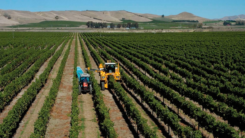 COVID-19: por qué la agricultura no es una mala industria para formar parte