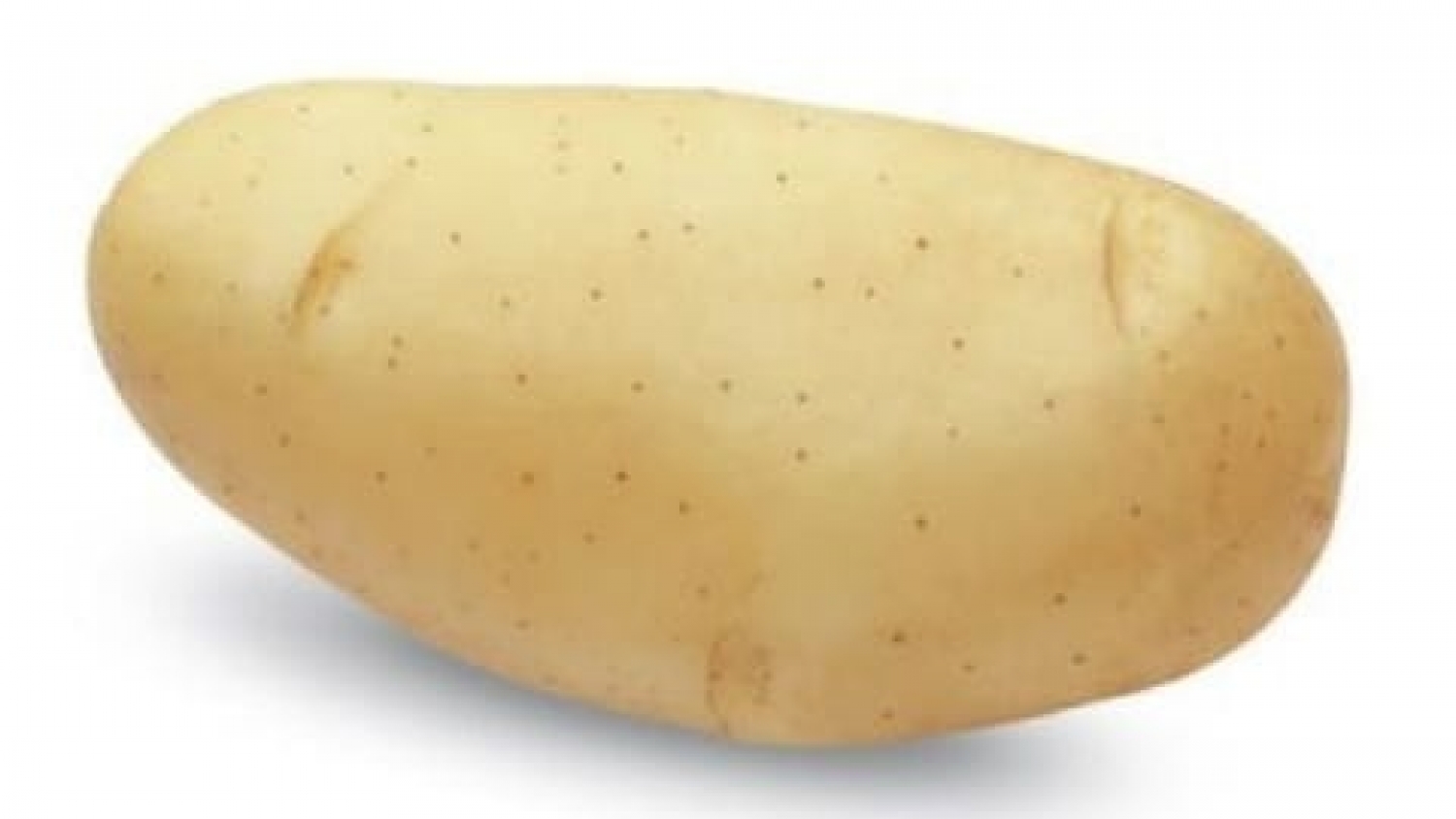 Aprueban una nueva variedad de papa desarrollada por el INTA que reduce los daños de la cosecha y mejora la calidad comercial