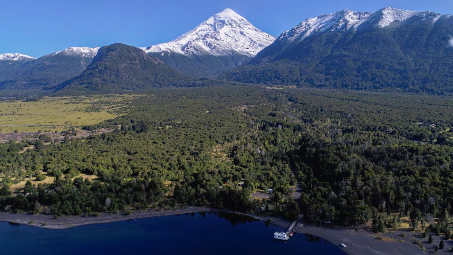 Tecnología y genética local: prueban siembra aérea con drones para reforestar el Parque Nacional Lanín