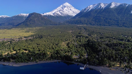 Tecnología y genética local: prueban siembra aérea con drones para reforestar el Parque Nacional Lanín