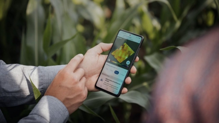 La agricultura regenerativa y su impacto positivo en el ambiente