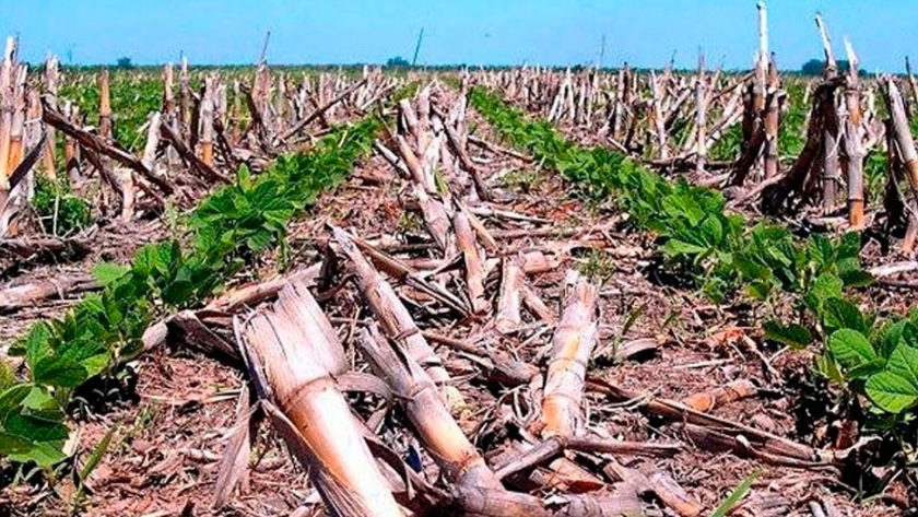 El INTA implementa un modelo de predicción para saber cuál será la erosión de los suelos