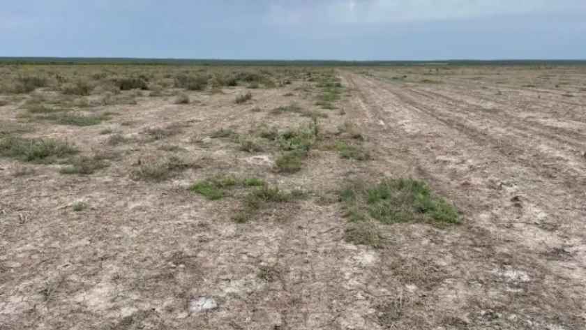 El INTA brinda recomendaciones para mitigar la salinización en La Pampa