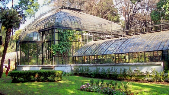 <5 cosas que no sabías sobre el Jardín Botánico