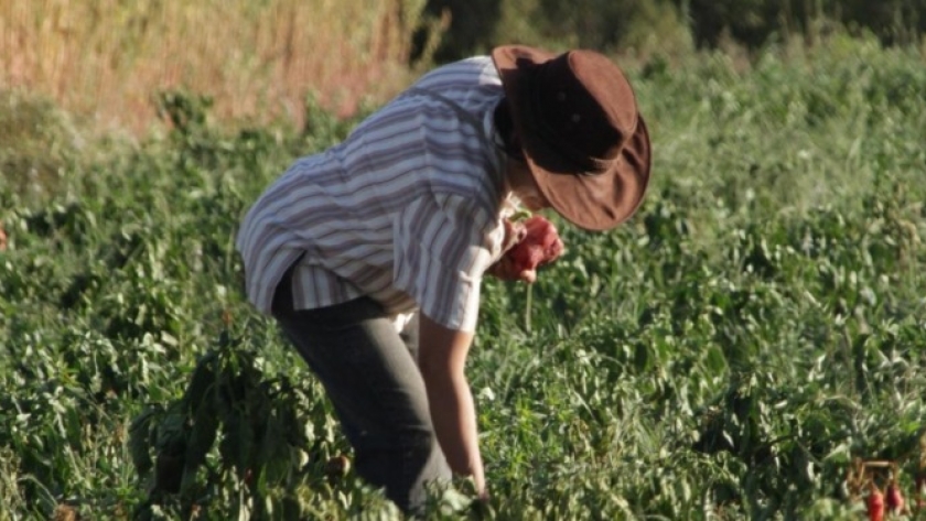 Mayma BIO: Crearon un programa de mentorías para acompañar a productores que quieran “transitar” hacia la agroecología