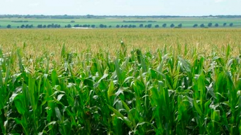 Agro adaptativo: ajustar la demanda agrícola a la oferta variable de agua