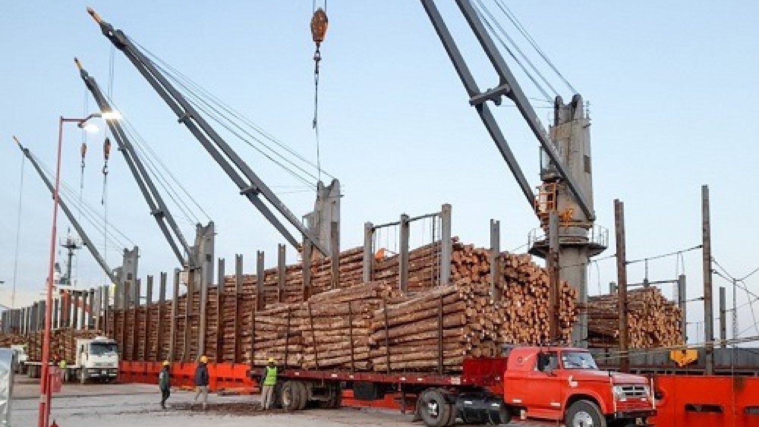 Argentina amplía sus ventas de madera a Asia con un nuevo embarque hacia India