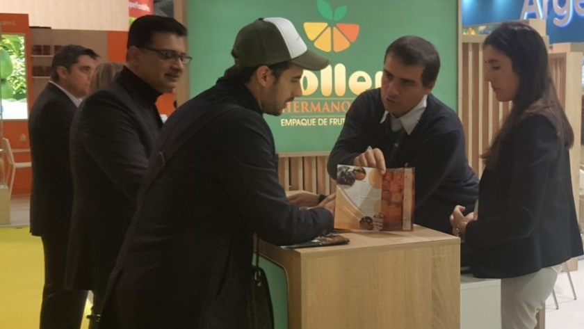 Brindan asesoramiento on line en comercio exterior