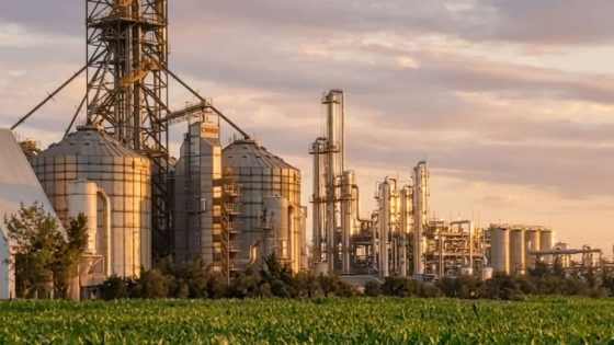 Una cooperativa invertirá US$150 millones en una planta de bioetanol para agregar valor al maíz argentino