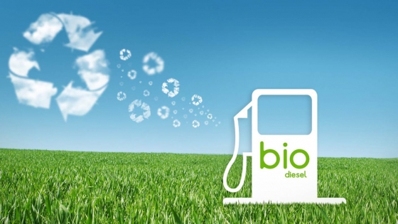 Biodiesel argentino atraviesa su peor semestre en 16 años y preocupa al sector