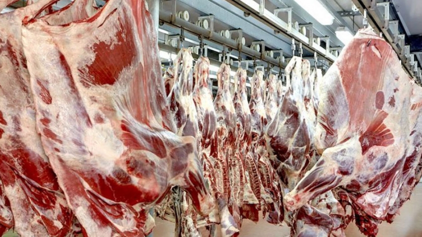 Demanda sudamericana de carne bovina paraguaya creció 16% en 2020