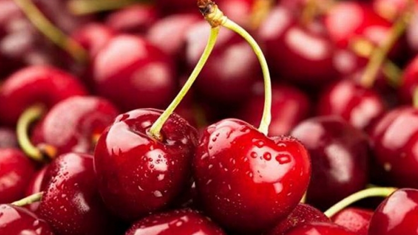 Inscripción de productores de Mendoza para la exportación de cerezas a China