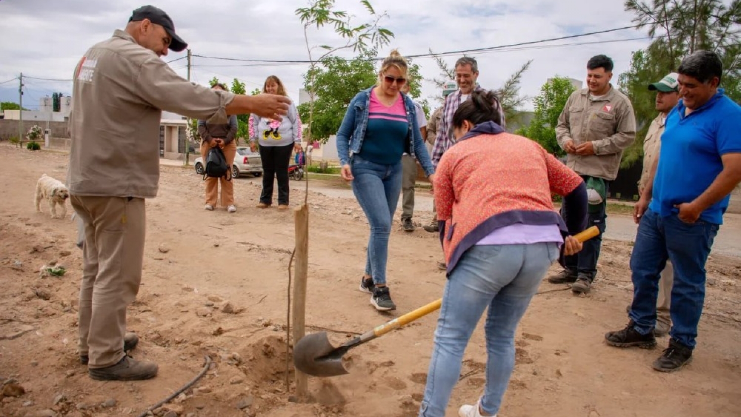 Forestación y riego por goteo transforman el barrio 47 Viviendas de Nonogasta