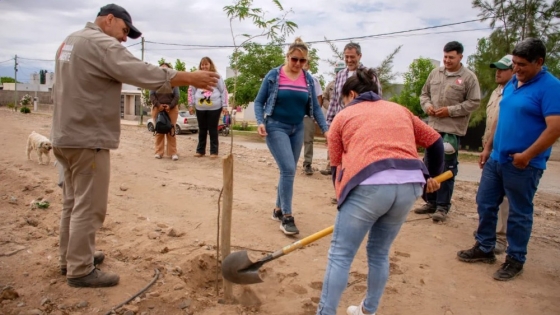 Forestación y riego por goteo transforman el barrio 47 Viviendas de Nonogasta