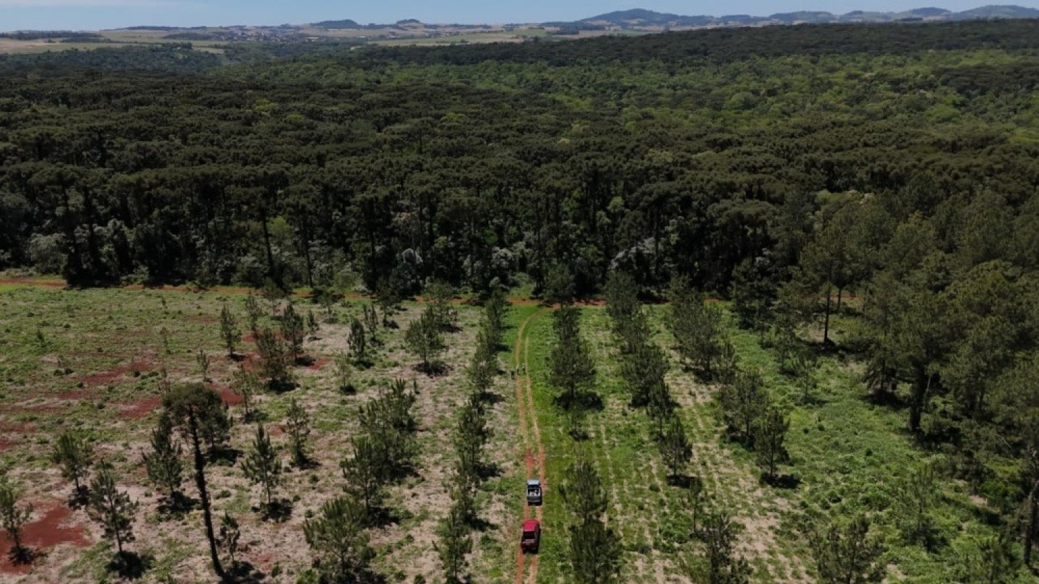 Misiones refuerza los controles forestales y detecta irregularidades en operativos de febrero