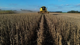 Volvieron las lluvias y demoran la cosecha de soja y maíz en el este agrícola