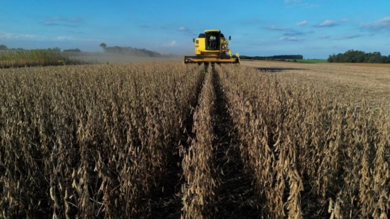 Volvieron las lluvias y demoran la cosecha de soja y maíz en el este agrícola