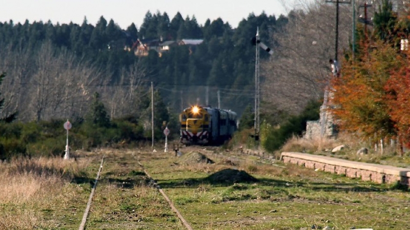 El Tren Patagónico te invita a un viaje inolvidable a través de la estepa rionegrina