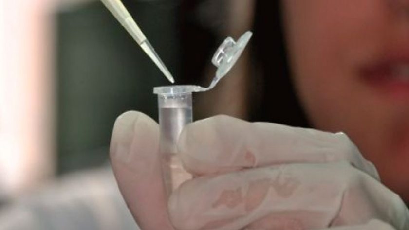 ZOOVET:  Primera molécula sintética activadora de la fertilidad