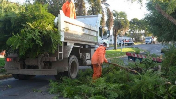 Inicia el servicio de recolección de ramas y descacharrizado en Vuelta del Ombú