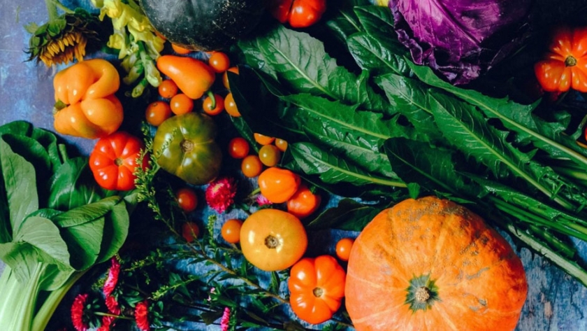 Pinduoduo se asocia con Fertilizer Giant para dar inicio a la moda de la horticultura 
