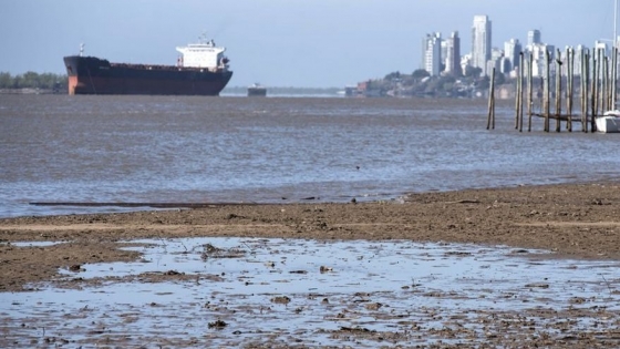 Caída histórica: la carga de buques se derrumbó por la bajante del Paraná