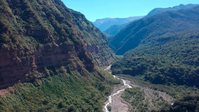 Nueva convocatoria de proyectos para recuperar bosques nativos