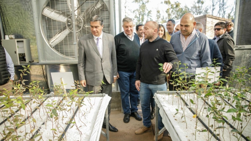 Un nuevo vivero clonal en Makallé permitirá la expansión de la producción forestal sustentable en la provincia