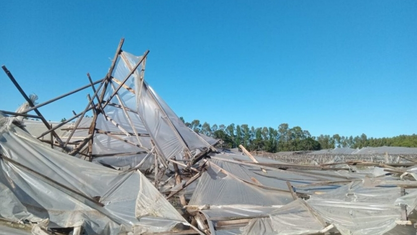 Mar del Plata: los productores frutihortícolas solicitaron una línea de crédito al gobierno tras el temporal del pasado martes