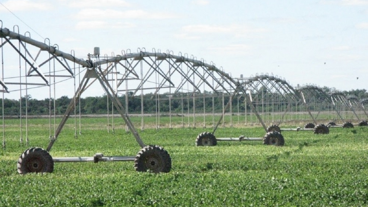 El riego gana protagonismo en el agro y se posiciona como herramienta clave frente a la incertidumbre climática