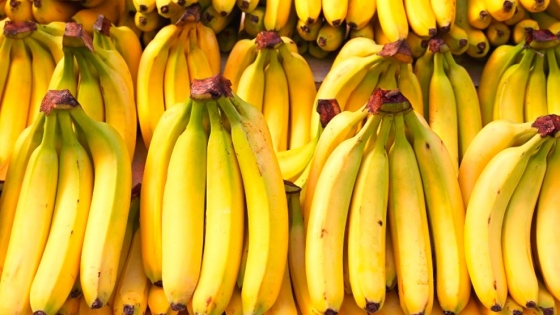 Innovadora banana genéticamente modificada promete reducir el desperdicio de alimentos y las emisiones