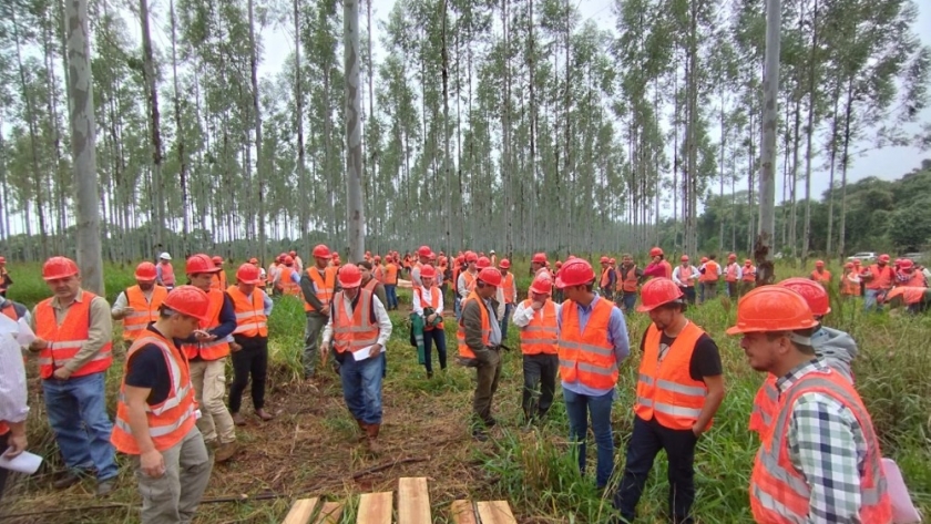 ¿Cuáles son las condiciones favorables para desarrollar inversiones en el sector forestal?