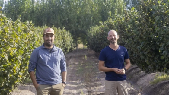 De chacra familiar a inversión clave en avellanas patagónicas