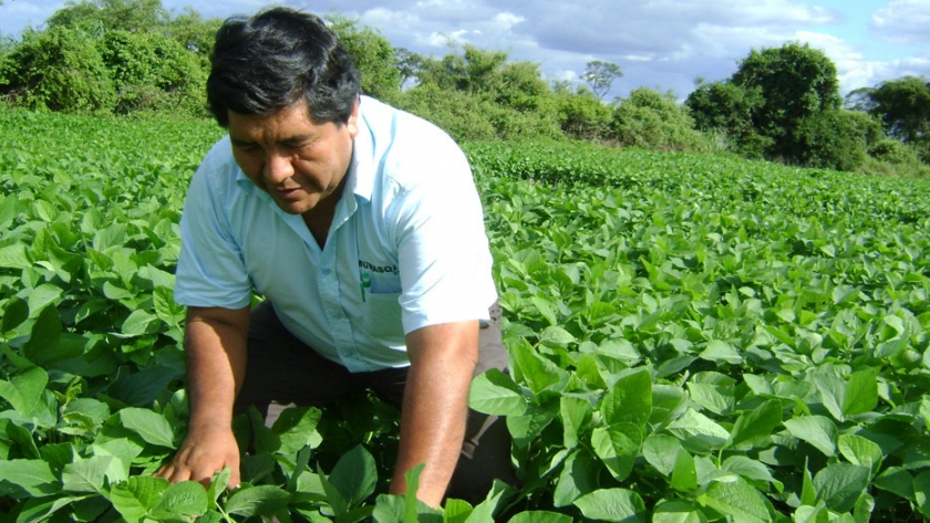 Bolivia alcanzó récord de producción agrícola en 2019