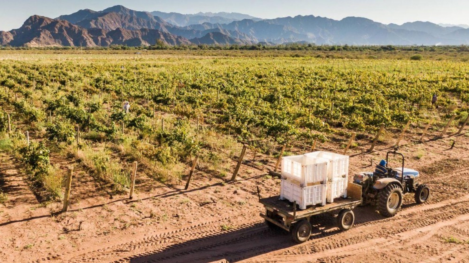Zona franca en Tinogasta: Catamarca avanza con un nuevo polo para producción y comercio exterior