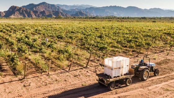 Zona franca en Tinogasta: Catamarca avanza con un nuevo polo para producción y comercio exterior